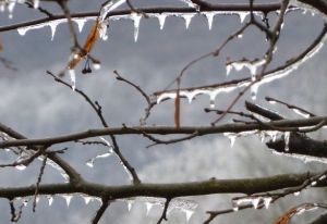 Eis & Raureif / Ice & White Frost